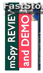 Avis Logiciel Espion Mspy